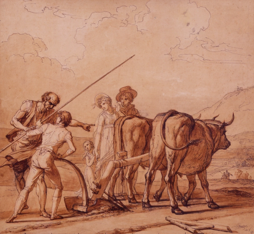 La lezione di agricoltura - studio